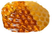 Containing natural minerals made by bees, Honey extract