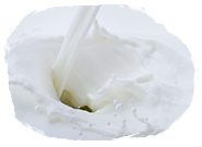 Goat’s Milk, the secret for the longevity of the skin